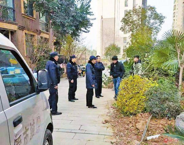 小区绿化带被破坏“热线立办”把绿还