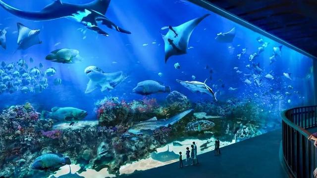 一段瞬间跨越世界海域的奇妙旅程。