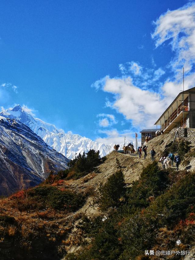 行走安娜普尔纳环线，朝仰雪山群峰（尼泊尔ACT徒步｜美图+攻略）