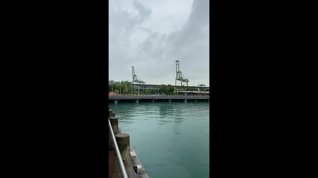 在新加坡著名景点圣淘沙岛，突然发现一个大鱼家族。每条大鱼都..