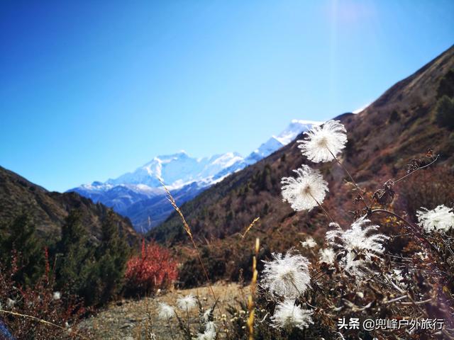 行走安娜普尔纳环线，朝仰雪山群峰（尼泊尔ACT徒步｜美图+攻略）