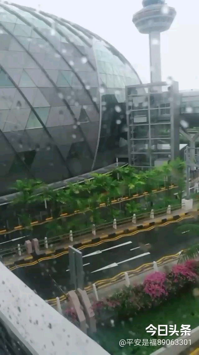 美丽的新加坡樟宜机场！