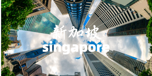 ​2020新加坡精英项目招募 | 7天6夜顶级名校+投行+4大事务所！