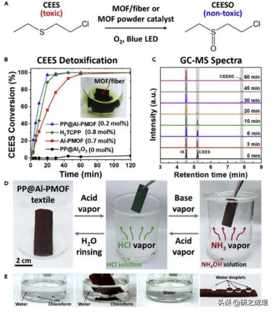 催化周报：Nature子刊、JACS、Angew大合集