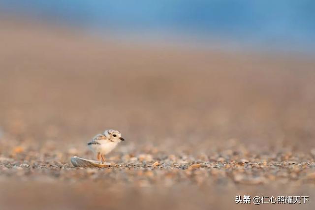 “素”名远扬，安享高寿，开国领袖黄炎培素食50年