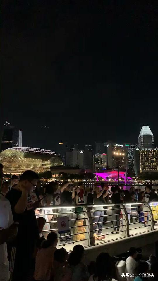 美丽的新加坡夜景-鱼尾狮公园