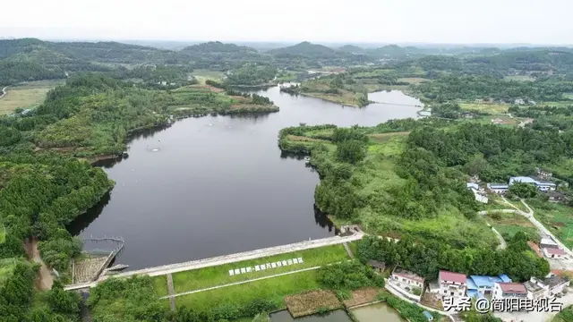 遇见天府雄州 | 陈新 : 一道美食映照的修为