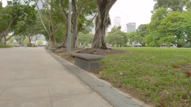 新加坡大公鸡走出了六亲不认的步伐