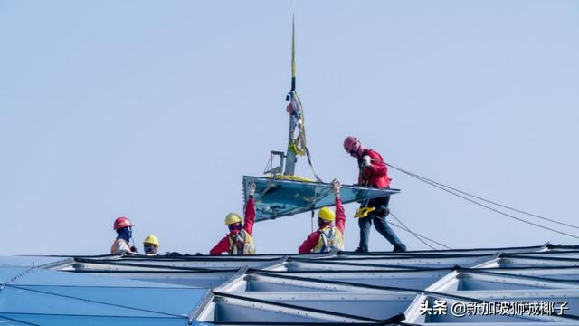 实拍！你的行李在新加坡樟宜机场，原来会变成这样