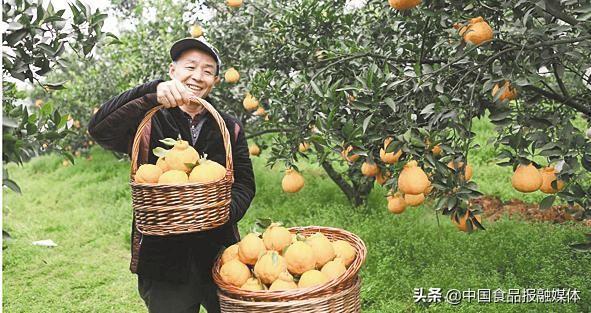 蒲江致力打造新时代农业标准化新标杆