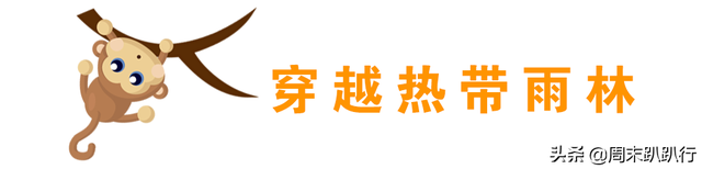 私藏！2020 清迈亲子玩法，很多爸妈都不知道