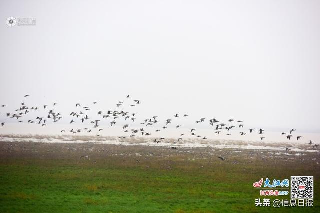 “美丽天使”共舞江西 鄱阳湖向世界发出邀约