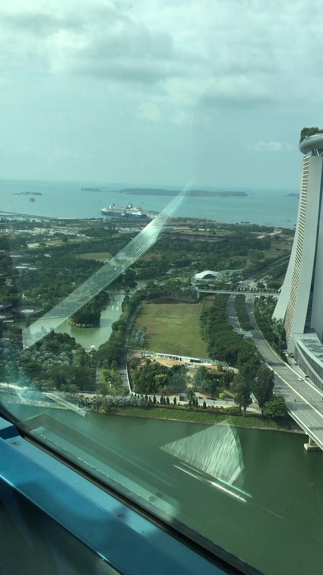 新加坡摩天轮