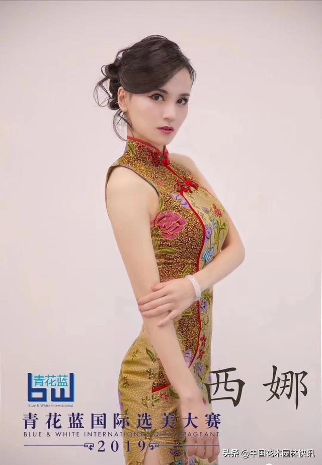 第三届新加坡青花蓝国际经典旗袍大赛今晚落幕 西娜获两项大奖