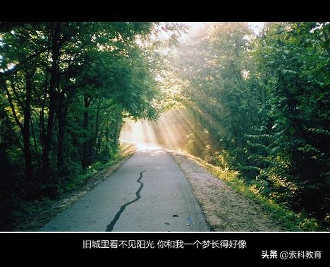 高中地理选修六环境保护知识点总结