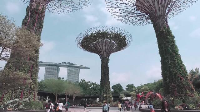 33秒带你玩遍新加坡鱼尾狮、滨海湾花园和环球影城~