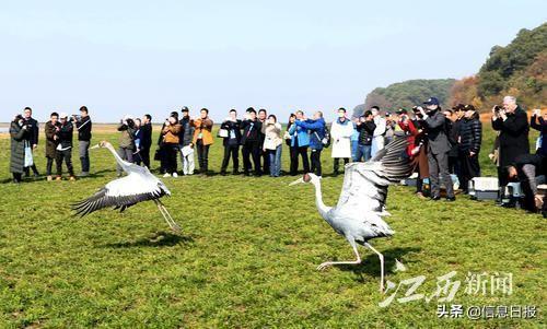 “美丽天使”共舞江西 鄱阳湖向世界发出邀约