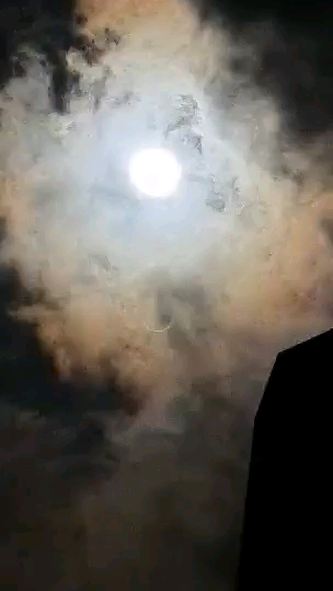 新加坡曰偏食太美了！！