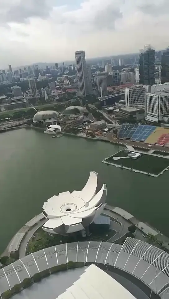 金沙酒店上的空中花园   新加坡