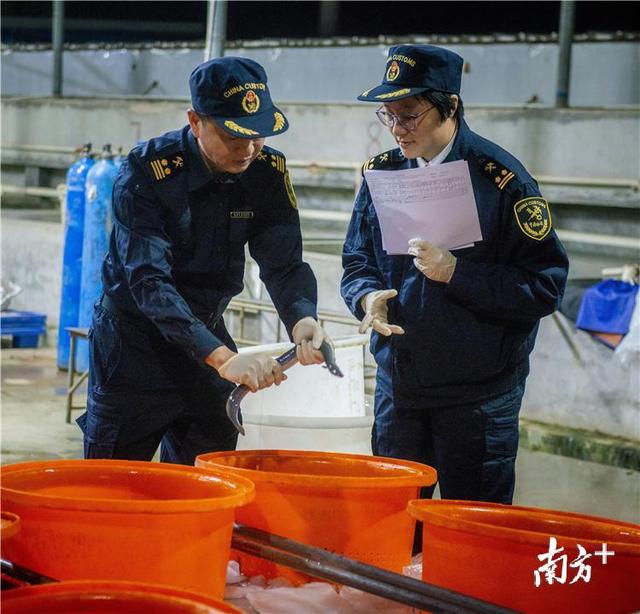 惠州鳗鱼观赏鱼首次“登陆”新加坡和印尼