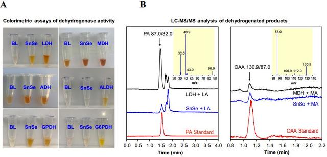 4篇Nature子刊、Angew、Anal. Chem等成果速递 | 纳米生物日报20191218