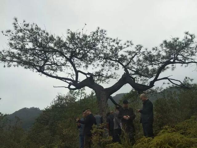 长汀：古朴同睦村