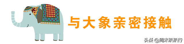 私藏！2020 清迈亲子玩法，很多爸妈都不知道