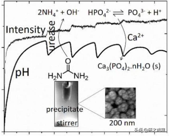 催化周报：Nature子刊、JACS、Angew大合集