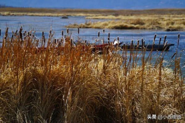 春节假期就要来了，全家人适合去哪里过年呢？