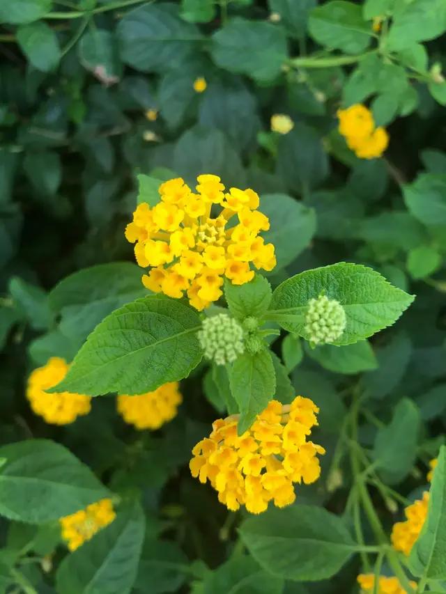 今天无缘无故被老板训了，在新加坡工作的你也有这样的经历吗？