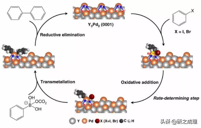 催化周报：Nature子刊、JACS、Angew大合集