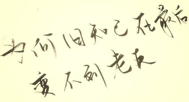 为何旧知己到最后变不到老友 | 一样难以捉摸的友情