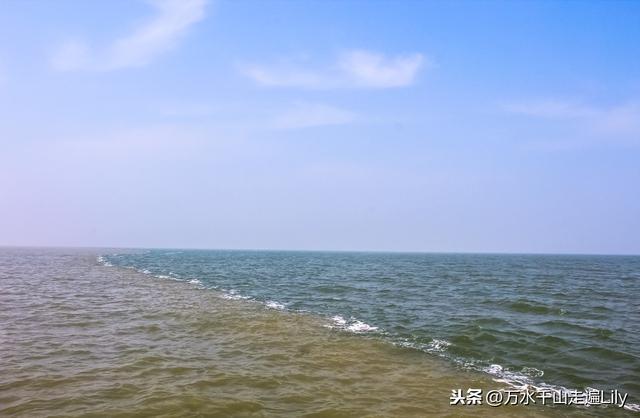 黄河之水奔流到海不复还，河海交汇的旷世奇观只有这里能看到