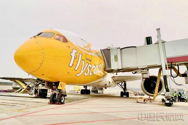 酷航用波音787客机执飞郑州-新加坡航线