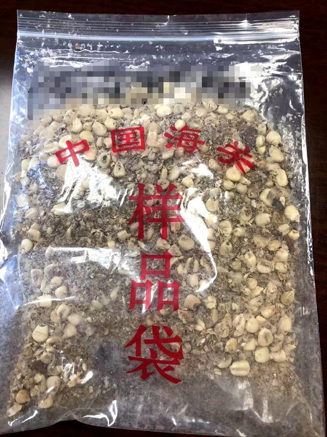 南沙海关在入境空箱残留物中检出玉米褪绿斑驳病毒，在全国口岸尚属首次