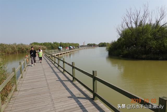 黄河之水奔流到海不复还，河海交汇的旷世奇观只有这里能看到