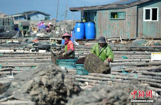 探访福建连江“海上村庄”