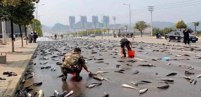 为什么世界各地都传说有“下鱼雨”，却从来没有人拍到经过？