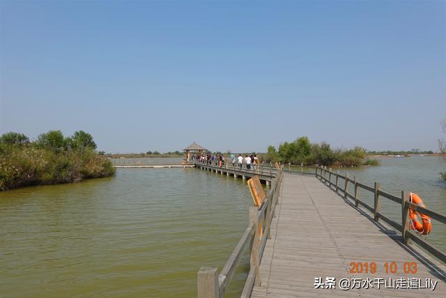 黄河之水奔流到海不复还，河海交汇的旷世奇观只有这里能看到