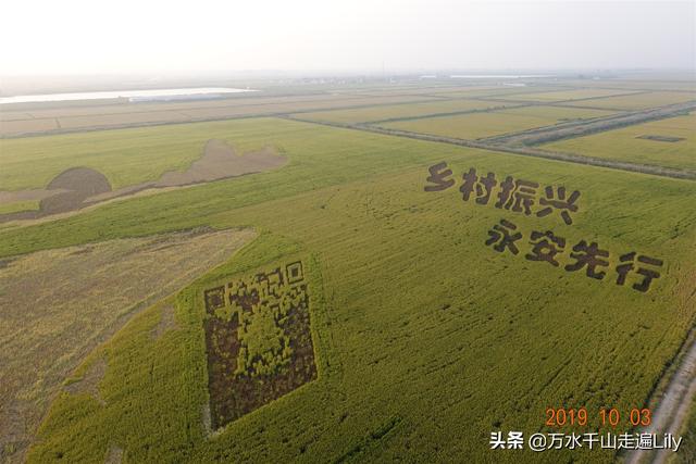 黄河之水奔流到海不复还，河海交汇的旷世奇观只有这里能看到