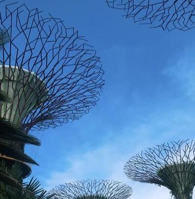 新加坡留学更容易录取剑桥、耶鲁、斯坦福！教育质量让人惊叹