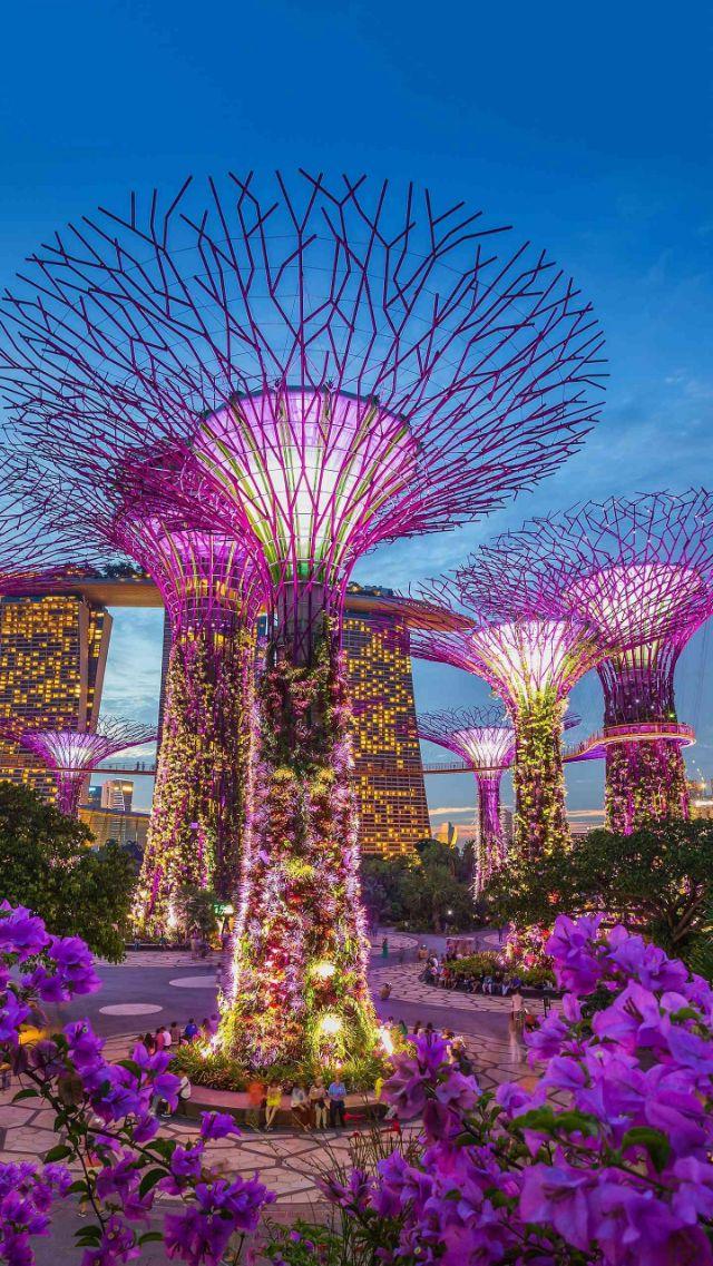 新加坡平安夜上联：霓虹摇曳半城轩窗