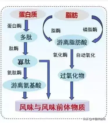 国家科技进步奖背后：雨润“硬核”技术只为百姓美味一餐