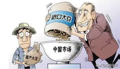 国运的秘密：石油、大豆和铁矿石