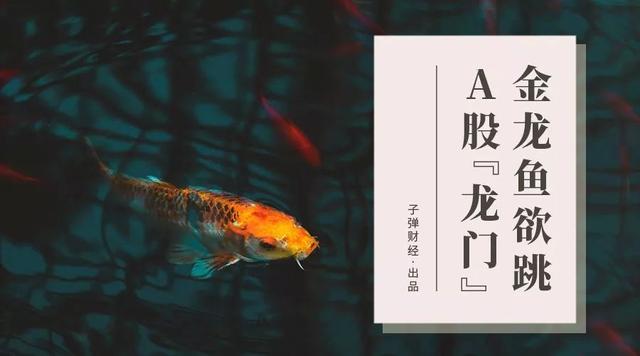 金龙鱼欲跳A股“龙门”，外资寻“中国身份”？