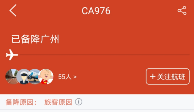疑因旅客原因，一架新加坡飞北京的航班备降广州