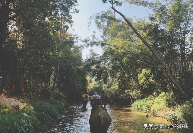 春节溜娃10大圣地！（附儿童出境指南）