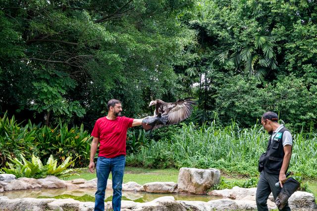 图虫人文摄影：新加坡飞禽公园