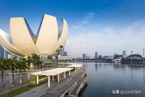 新加坡2020年会有什么样的改革