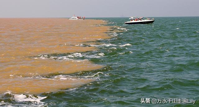 黄河之水奔流到海不复还，河海交汇的旷世奇观只有这里能看到